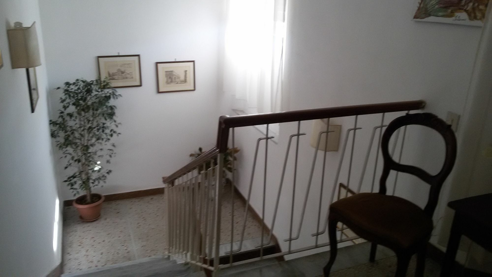 La Coccinella Guest House Pisa Eksteriør bilde
